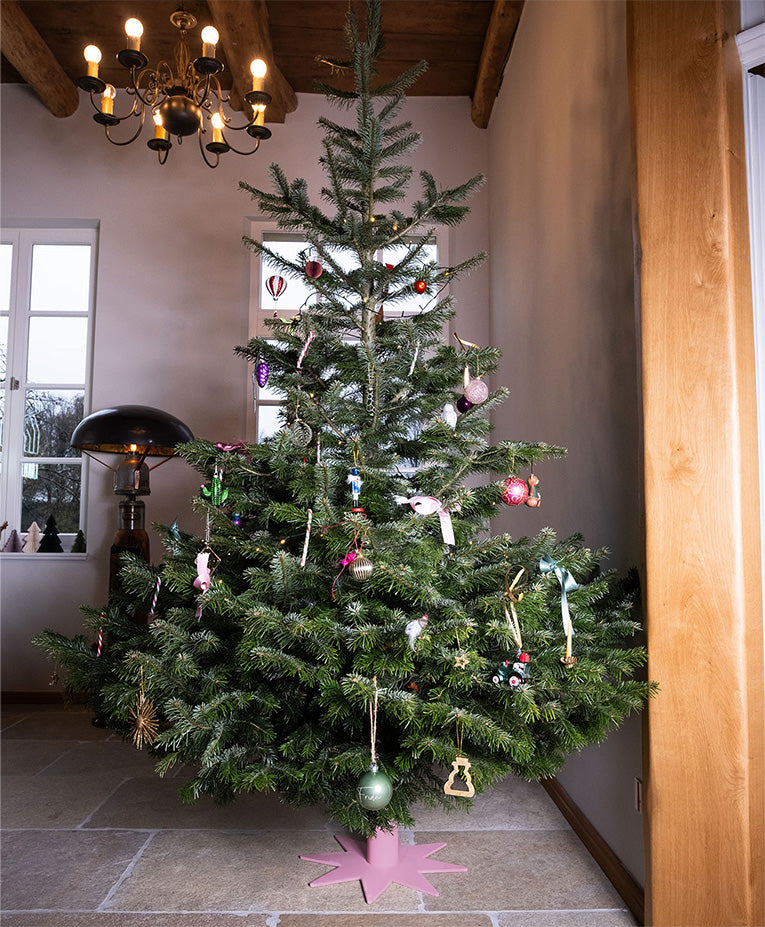 Moodbild Weihnachtsbaumständer STERN