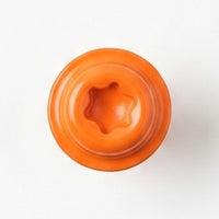 Neonorange RAL 2005